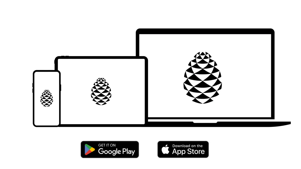 The Mago app on phone, tablet and browser